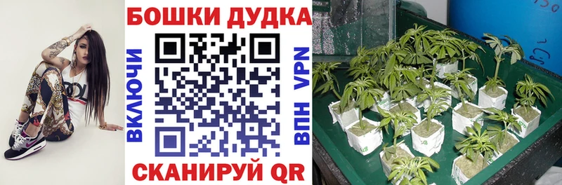 Купить наркоту Дятьково Альфа ПВП Меф мяу мяу Cocaine ГАШИШ АМФЕТАМИН МАРИХУАНА