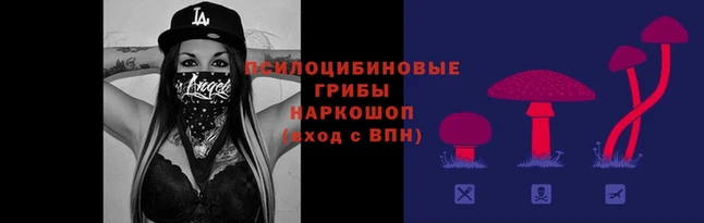 гидропоника Дмитров