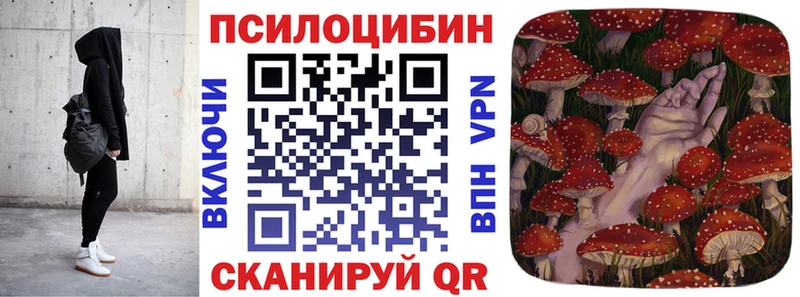 kraken онион  где купить наркоту  Дятьково  Псилоцибиновые грибы Magic Shrooms 