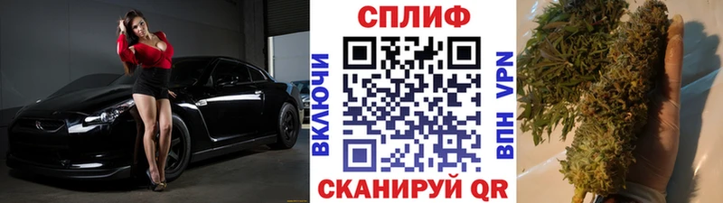 цена наркотик  Дятьково  Бошки Шишки Ganja 